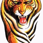 эскиз тату тигра мужские 09.03.2019 №010 - tattoo sketches - tatufoto.com