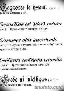 Черно-белое фото татуировок с латинскими фразами и их переводами. Подходит для тех, кто ценит мудрость и классическую литературу.
