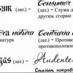 Черно-белое фото татуировок с латинскими фразами и их переводами. Подходит для тех, кто ценит классическую литературу и философию.