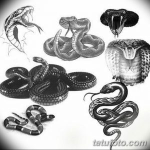 эскизы тату змей для девушек 08.03.2019 №009 - tattoo sketches - tatufoto.com