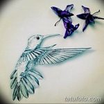эскизы тату колибри для девушек 08.03.2019 №022 - tattoo sketches - tatufoto.com