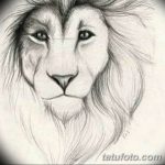 эскизы тату львов для девушек 08.03.2019 №008 - tattoo sketches - tatufoto.com