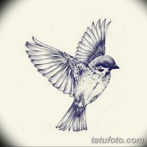 эскизы тату птиц для девушек 08.03.2019 №001 - tattoo sketches - tatufoto.com