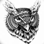 эскизы тату сова мужские 09.03.2019 №009 - tattoo sketches - tatufoto.com