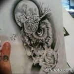 эскизы тату сова мужские 09.03.2019 №010 - tattoo sketches - tatufoto.com
