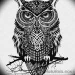 эскизы тату сова мужские 09.03.2019 №011 - tattoo sketches - tatufoto.com