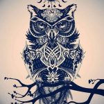 эскизы тату сова мужские 09.03.2019 №023 - tattoo sketches - tatufoto.com