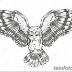 Черно-серый эскиз татуировки совы с широко расправленными крыльями. Изображение выполнено в реалистичном стиле.