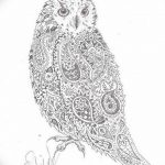 эскизы тату сова мужские 09.03.2019 №032 - tattoo sketches - tatufoto.com