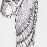 эскизы тату сова мужские 09.03.2019 №034 - tattoo sketches - tatufoto.com