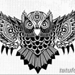 эскизы тату сова мужские 09.03.2019 №046 - tattoo sketches - tatufoto.com