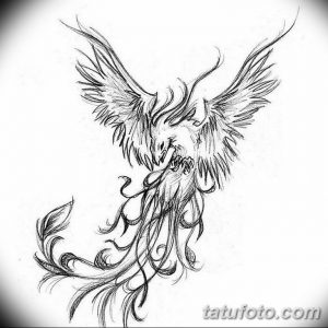 эскизы тату феникса для девушек 08.03.2019 №003 - tattoo sketches - tatufoto.com