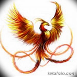 эскизы тату феникса для девушек 08.03.2019 №020 - tattoo sketches - tatufoto.com