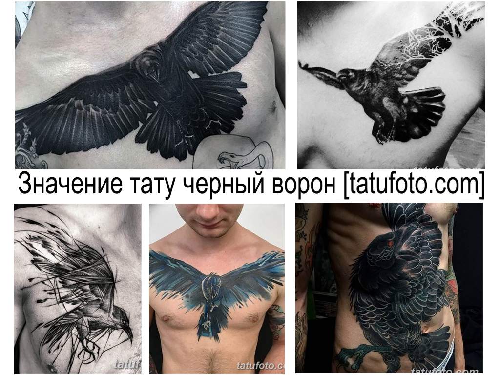 Значение тату черный ворон - информация про особенности рисунка и коллекция фото примеров готовых работ