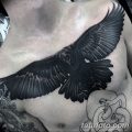Фото тату черный ворон 15.04.2019 №003 - ideas black raven tattoo - tatufoto.com