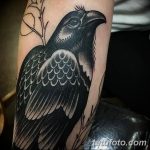 Фото тату черный ворон 15.04.2019 №033 - ideas black raven tattoo - tatufoto.com