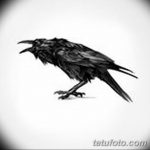 Фото тату черный ворон 15.04.2019 №036 - ideas black raven tattoo - tatufoto.com