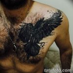 Фото тату черный ворон 15.04.2019 №049 - ideas black raven tattoo - tatufoto.com