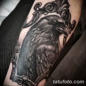 Фото татуировки ворона в декоративной рамке на предплечье. Рисунок выполнен в черно-белой гамме с использованием тонких линий и узоров.