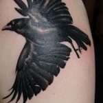 Фото тату черный ворон 15.04.2019 №062 - ideas black raven tattoo - tatufoto.com
