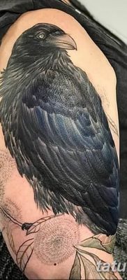 Фото тату черный ворон 15.04.2019 №063 — ideas black raven tattoo — tatufoto.com