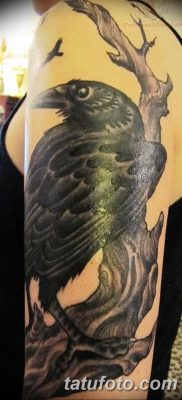 Фото тату черный ворон 15.04.2019 №072 — ideas black raven tattoo — tatufoto.com