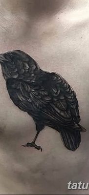 Фото тату черный ворон 15.04.2019 №076 — ideas black raven tattoo — tatufoto.com