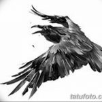 Фото тату черный ворон 15.04.2019 №080 - ideas black raven tattoo - tatufoto.com
