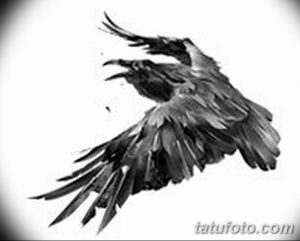 Фото тату ворона в полете, выполненного в черно-белом стиле. Динамичная композиция, детализированные крылья и острый клюв.