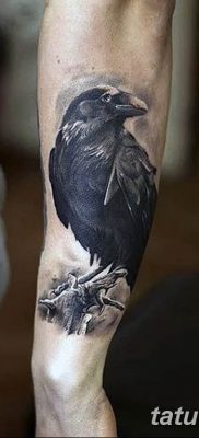 Фото тату черный ворон 15.04.2019 №088 — ideas black raven tattoo — tatufoto.com