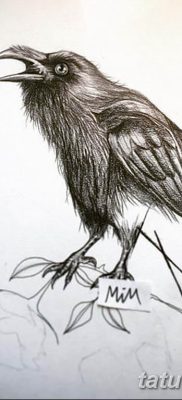 Фото тату черный ворон 15.04.2019 №089 — ideas black raven tattoo — tatufoto.com