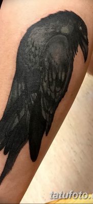 Фото тату черный ворон 15.04.2019 №093 — ideas black raven tattoo — tatufoto.com
