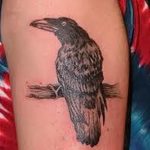Фото тату черный ворон 15.04.2019 №094 - ideas black raven tattoo - tatufoto.com