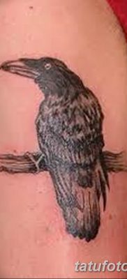 Фото тату черный ворон 15.04.2019 №094 — ideas black raven tattoo — tatufoto.com
