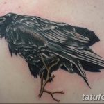 Фото тату черный ворон 15.04.2019 №096 - ideas black raven tattoo - tatufoto.com
