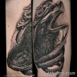 Фото тату черный ворон 15.04.2019 №097 - ideas black raven tattoo - tatufoto.com