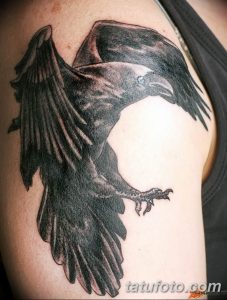 Фото татуировки ворона на плече, выполненной в технике blackwork. Детализированное изображение птицы с расправленными крыльями. Идея для мужской татуировки.
