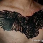 Фото татуировки с изображением ворона, раскинувшего крылья на груди. Мощный и впечатляющий рисунок, выполненный в реалистичном стиле.