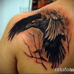 Фото тату черный ворон 15.04.2019 №123 - ideas black raven tattoo - tatufoto.com
