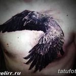 Фото тату черного ворона на груди мужчины. Детализированные крылья, реалистичный стиль, татуировка на теле.