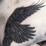 Фото тату черный ворон 15.04.2019 №135 - ideas black raven tattoo - tatufoto.com