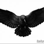 Фото тату черный ворон 15.04.2019 №138 - ideas black raven tattoo - tatufoto.com