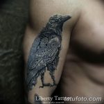 Фото тату черный ворон 15.04.2019 №159 - ideas black raven tattoo - tatufoto.com