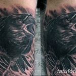 Фото тату черный ворон 15.04.2019 №170 - ideas black raven tattoo - tatufoto.com