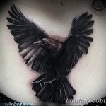 Фото тату черный ворон 15.04.2019 №180 - ideas black raven tattoo - tatufoto.com