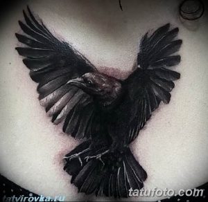 Фото минималистичной татуировки ворона с расправленными крыльями, выполненной в черно-белом цвете с акцентом на силуэт и форму.