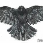 Фото тату черный ворон 15.04.2019 №186 - ideas black raven tattoo - tatufoto.com