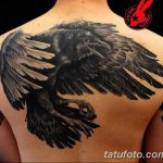 Фото тату черный ворон 15.04.2019 №187 - ideas black raven tattoo - tatufoto.com