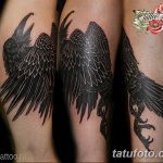 Фото тату черный ворон 15.04.2019 №206 - ideas black raven tattoo - tatufoto.com