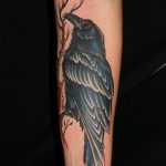 Фото тату черный ворон 15.04.2019 №218 - ideas black raven tattoo - tatufoto.com